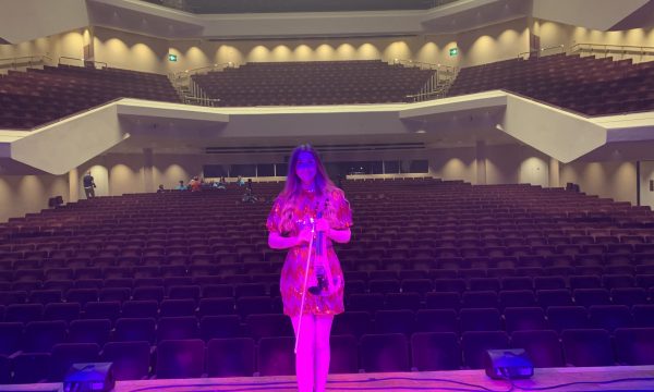 Pippa Griffin electric violin RCH