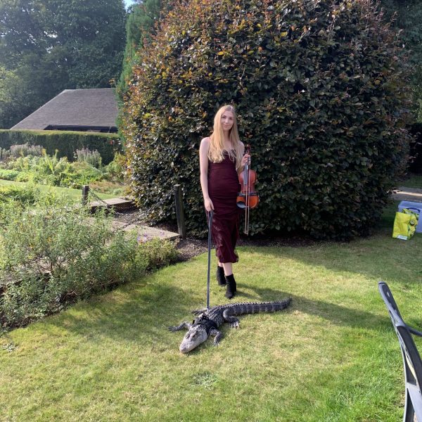 Pippa Griffin violinist crocodile wedding